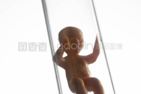 http://foshan.nbgk120.com/post/209.html|佛山捐卵费用