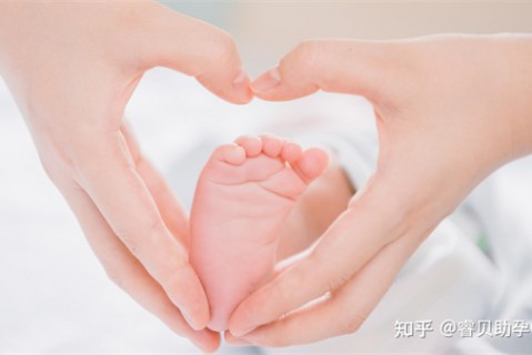 夏天佛山捐卵宝宝发烧 莫要急