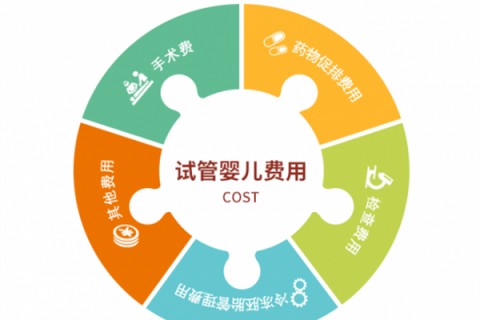 佛山捐卵宝宝肚痛，父母该怎么办？