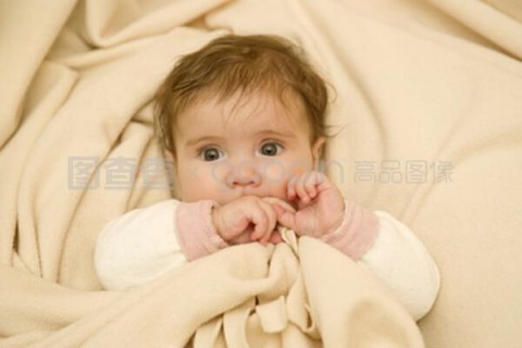 http://foshan.nbgk120.com/post/188.html|佛山新闻中心